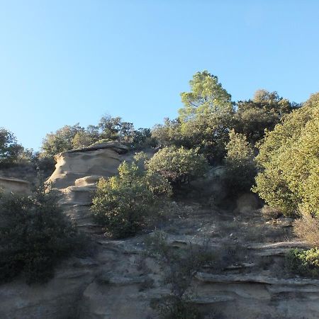 Une Ronce sous le Figuier Rousset-les-Vignes Extérieur photo