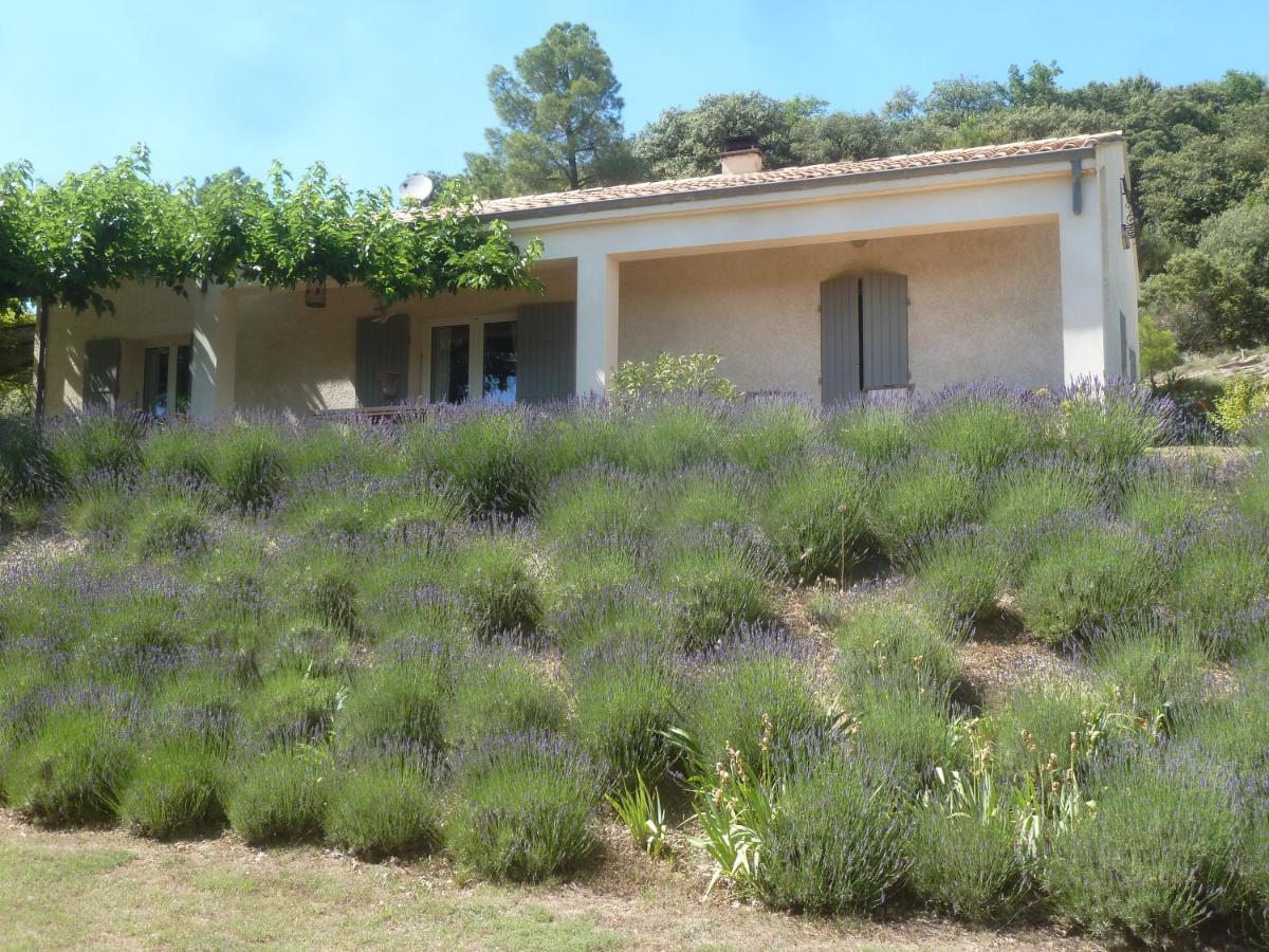 Une Ronce sous le Figuier Rousset-les-Vignes Extérieur photo